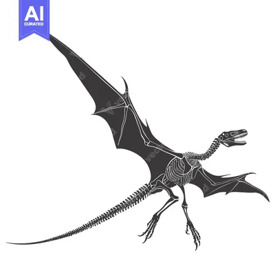 Premium design asset: Skeletal Reconstruction of a Flying Dinosaur with Spread Wings