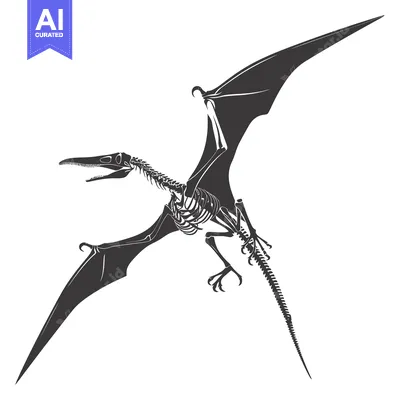 Aset desain premium: Pterodactyl Skeleton in Flight with Spread Wings
