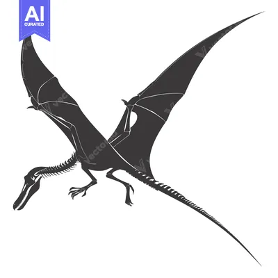 Aset desain premium: Black and White Silhouette of a Pterodactyl Flying with Its Bones Visi