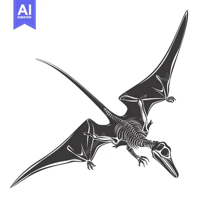 Aset premium populer: Skeletal Drawing of a Pterodactyl in Flight