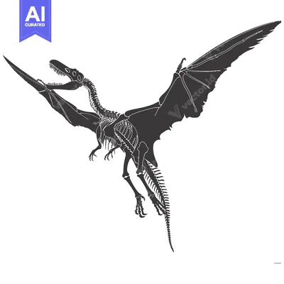 Aset premium populer: Skeletal depiction of a flying pterosaur with outstretched wings