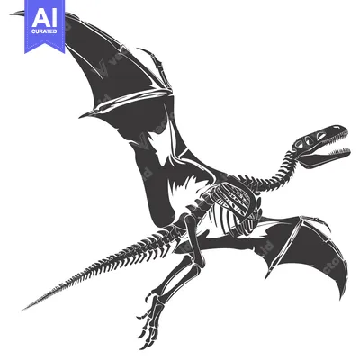 Popular premium asset: Skeletal Structure of a Flying Dinosaur with Spread Wings
