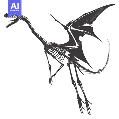 Aset premium populer: Skeletal Dragon in Flight with Extended Wings and Tail