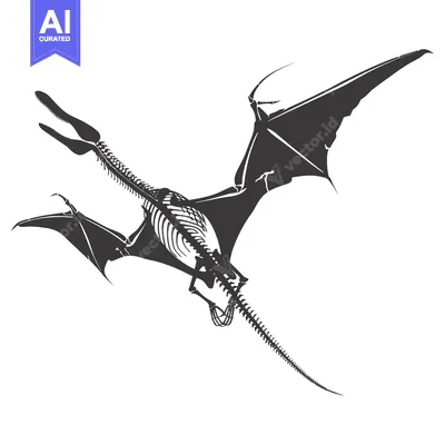 Aset desain premium: Skeletal Dinosaur in Flight with Spread Wings