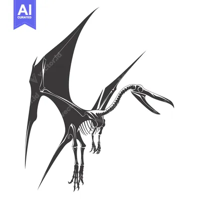 Popular premium asset: Black and White Illustration of a Pterodactyl Skeleton in Flight