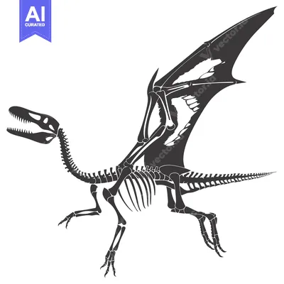 Aset desain premium: Skeletal Remains of a Flying Dinosaur with Spread Wings