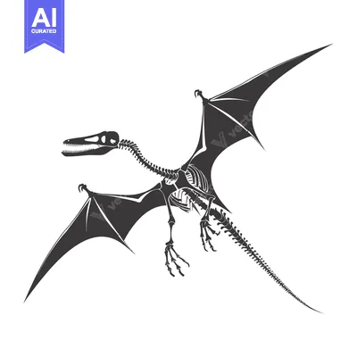 Aset desain premium: Skeletal Remains of a Flying Dinosaur with Spread Wings