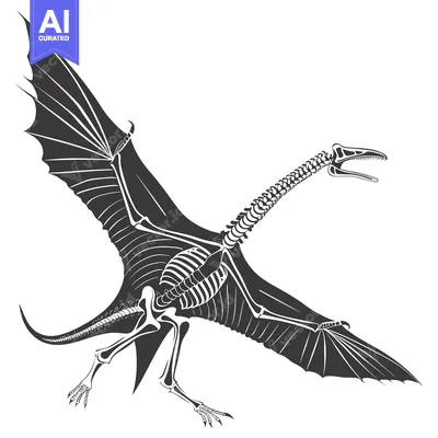Skeletal Reconstruction of a Pterodactyl in Flight