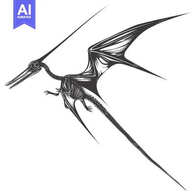 Aset premium populer: Black and White Illustration of a Pterodactyl Skeleton