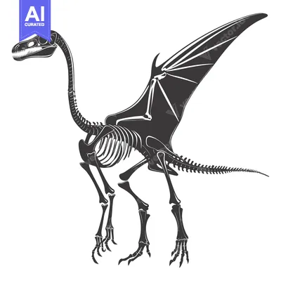 Aset desain premium: Skeleton of a Pterodactyl with Wingspan Extended