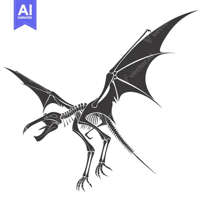 Aset desain premium: Skeletal Dragon with Spread Wings in Flight