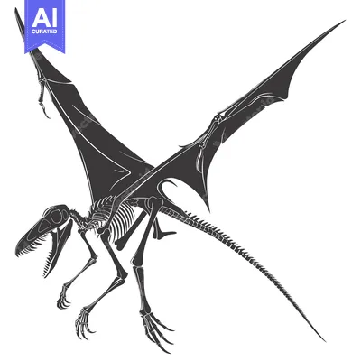 Aset premium populer: Skeletal Illustration of a Pterodactyl in Flight