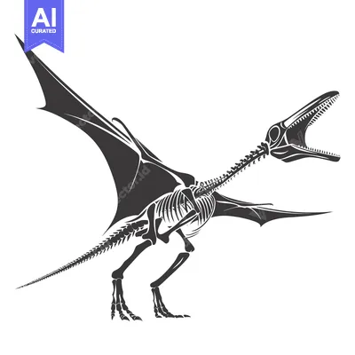 Popular premium asset: Pterodactyl Skeleton with Open Mouth and Spread Wings