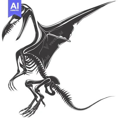 Premium design asset: Skeletal Illustration of a Prehistoric Flying Reptile
