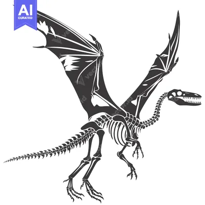 Premium design asset: Skeletal Representation of a Flying Dinosaur with Wings Spread