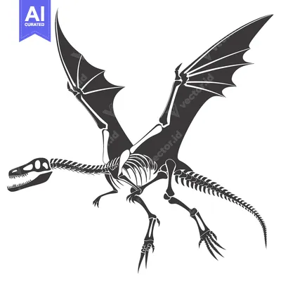 Aset desain premium: A Skeleton of a Flying Dragon with Spread Wings