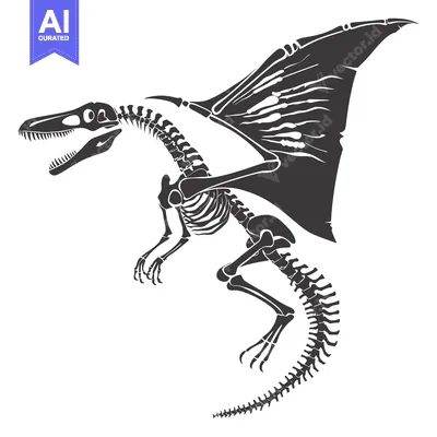 Premium design asset: Skeletal Remains of a Winged Dragon with Spread Wings