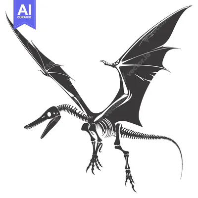 Skeleton of a Pterodactyl with Spread Wings