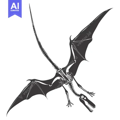 Aset premium populer: Skeletal remains of a flying dinosaur with wings outstretched
