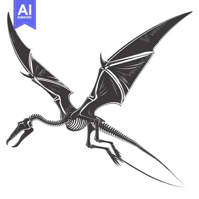 Aset desain premium: Skeletal Dragon in Flight with Wings Outstretched