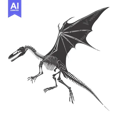 Premium design asset: Skeletal Dragon with Spread Wings