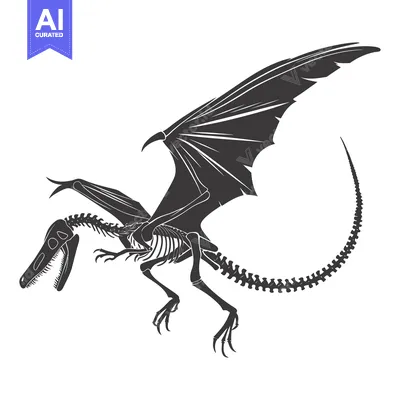 Black and White Illustration of a Pterodactyl Skeleton