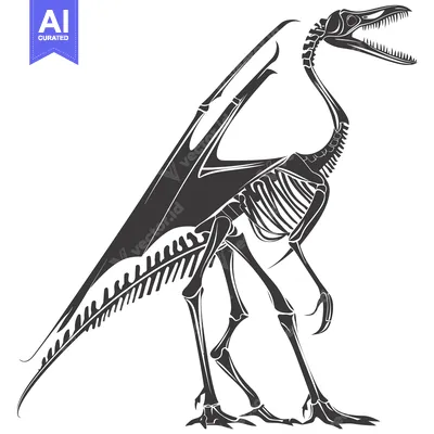 Aset premium populer: Skeletal Illustration of a Pterodactyl with Wings Spread