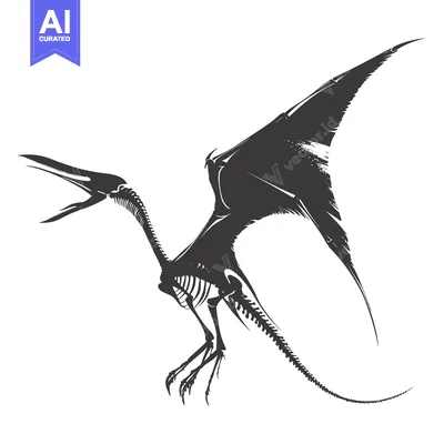 Popular premium asset: Silhouette of a Pterodactyl Skeleton with Wings Spread