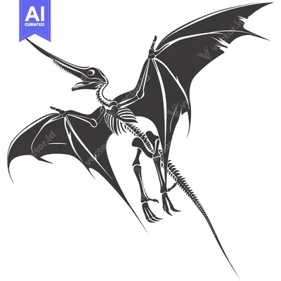 Aset desain premium: A Detailed Skeletal Illustration of a Pterodactyl with Open Wings