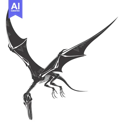 Aset premium populer: Pterodactyl Skeleton with Spread Wings in Flight