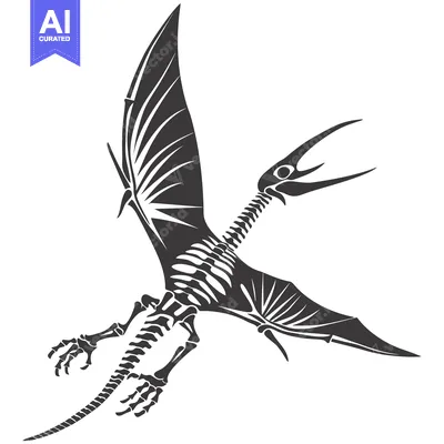 Pterodactyl Skeleton in Flight