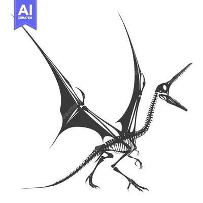 Aset premium populer: Skeleton of a Flying Dinosaur with Wings Outstretched