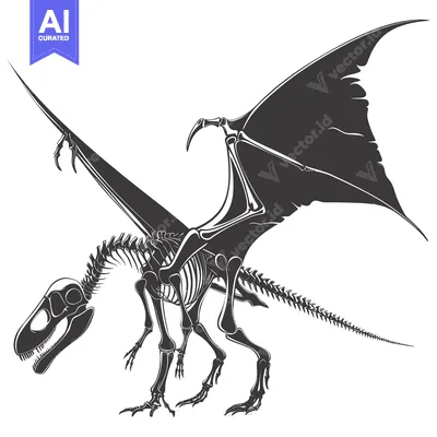 Aset premium populer: Skeletal remains of a winged dinosaur with a long tail