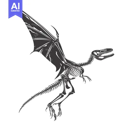 Black and White Illustration of a Pterodactyl Skeleton