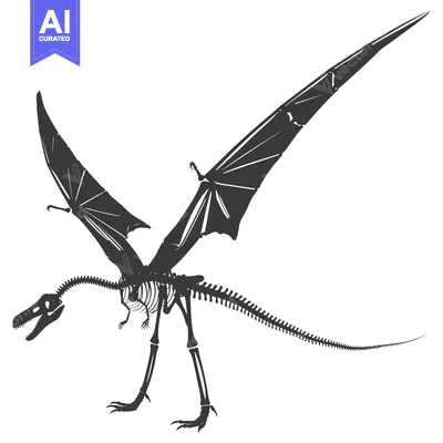 Aset premium populer: A Skeletal Illustration of a Pterodactyl with Spread Wings