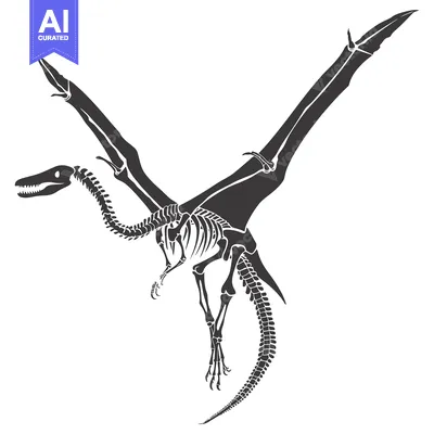 Popular premium asset: Pterodactyl Skeleton with Spread Wings in Flight
