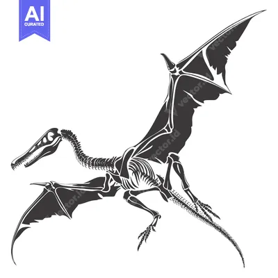 Skeletal Representation of a Pterodactyl in Flight