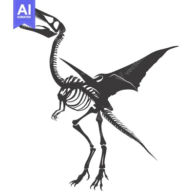 Skeletal Remains of a Pterodactyl with Open Mouth and Extended Wings
