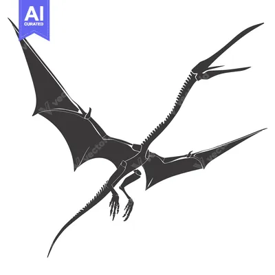 Popular premium asset: Silhouette of a Pterodactyl in Flight