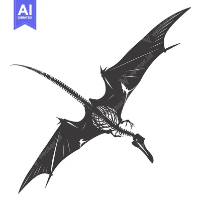 Premium design asset: Black and White Silhouette of a Pterodactyl Flying