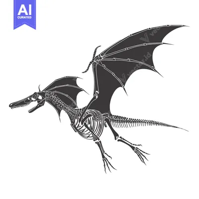 Aset premium populer: Skeletal Dragon in Flight with Spread Wings