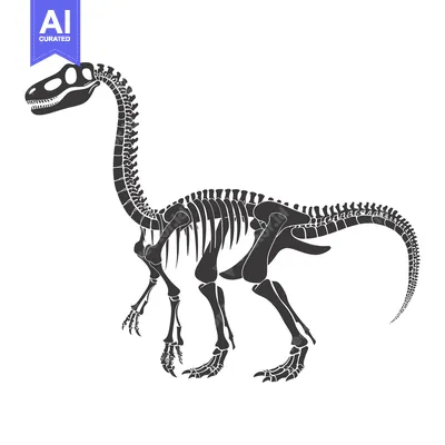 A Detailed Skeletal Illustration of a Dinosaur