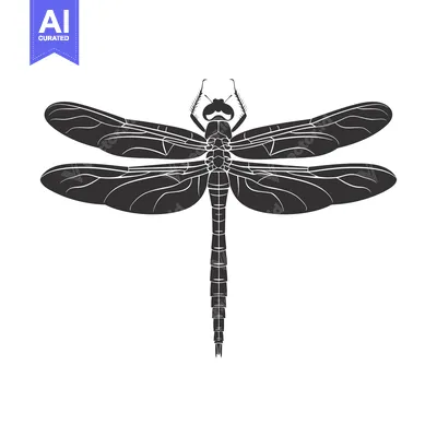 Aset premium populer: Black and White Silhouette of a Dragonfly with Spread Wings