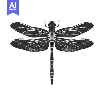 Popular premium asset: Black and White Illustration of a Dragonfly with Spread Wings