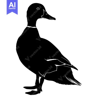 Popular premium asset: Black and White Silhouette of a Duck Standing on One Leg