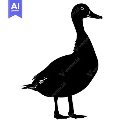 Black Silhouette of a Standing Duck
