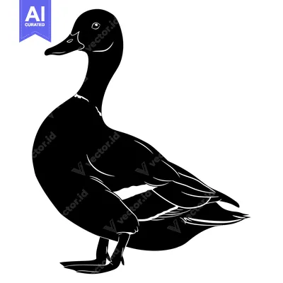 Black and White Silhouette of a Duck Standing with its Head Turned