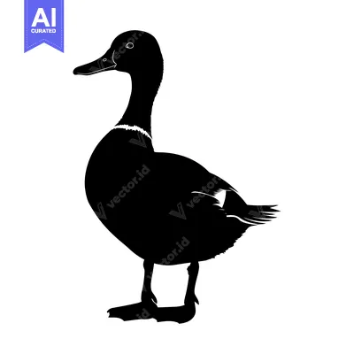Aset premium populer: Black and white silhouette of a duck standing