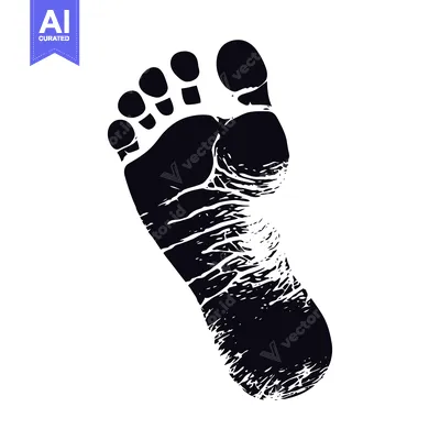 Popular premium asset: A Black and White Silhouette of a Bare Human Foot