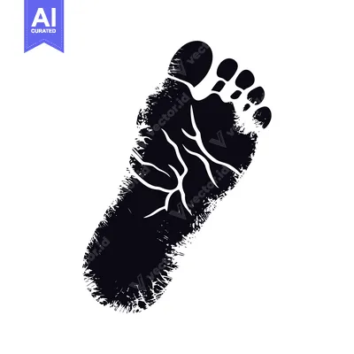 Aset premium populer: Black and White Footprint of a Bare Foot
